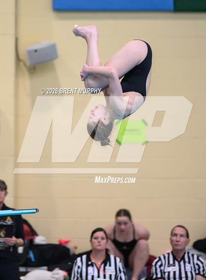 Thumbnail 1 in CHSAA 5A Finals (Diving) photogallery.