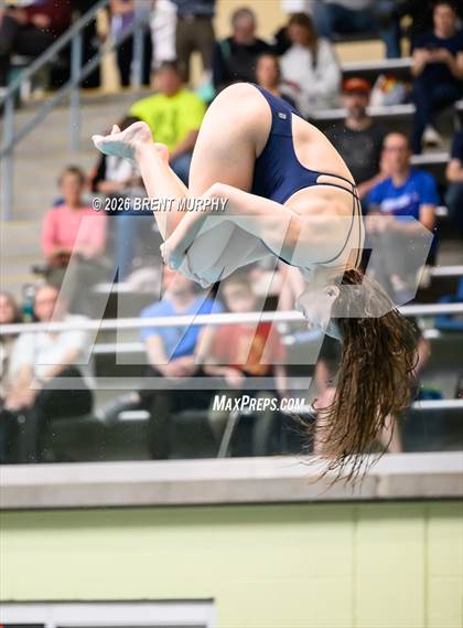 Thumbnail 2 in CHSAA 5A Finals (Diving) photogallery.