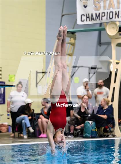 Thumbnail 3 in CHSAA 5A Finals (Diving) photogallery.
