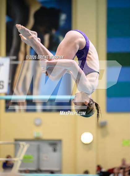Thumbnail 2 in CHSAA 5A Finals (Diving) photogallery.