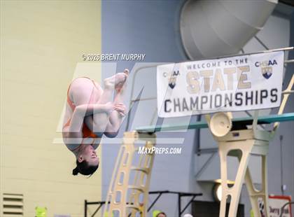 Thumbnail 1 in CHSAA 5A Finals (Diving) photogallery.