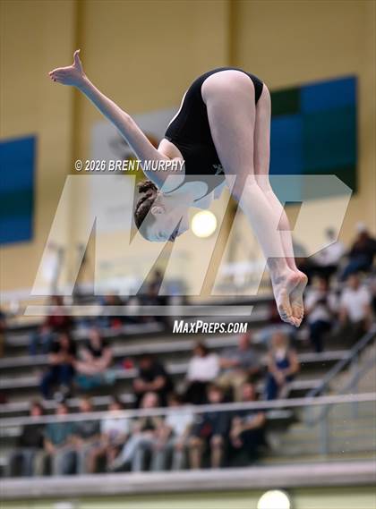 Thumbnail 3 in CHSAA 5A Finals (Diving) photogallery.