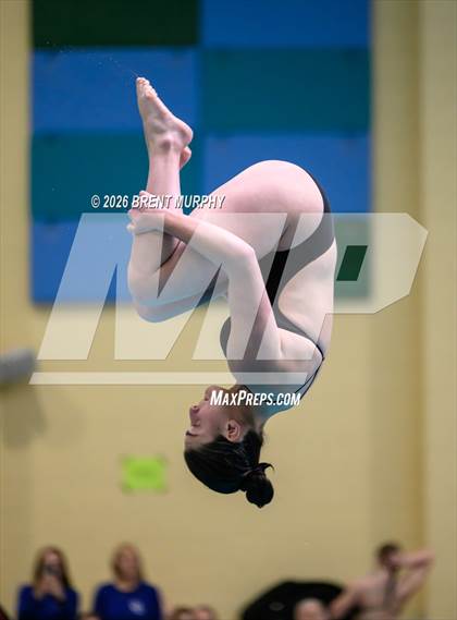 Thumbnail 1 in CHSAA 5A Finals (Diving) photogallery.