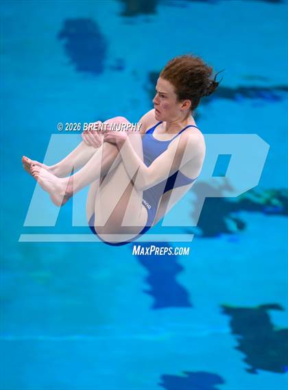 Thumbnail 1 in CHSAA 5A Finals (Diving) photogallery.