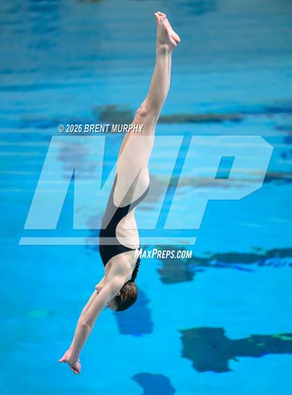 Thumbnail 2 in CHSAA 5A Finals (Diving) photogallery.