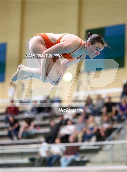 Thumbnail 3 in CHSAA 5A Finals (Diving) photogallery.