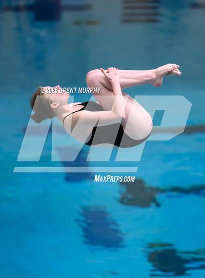 Thumbnail 1 in CHSAA 5A Finals (Diving) photogallery.