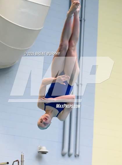 Thumbnail 2 in CHSAA 5A Finals (Diving) photogallery.