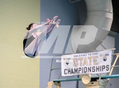 Thumbnail 1 in CHSAA 5A Finals (Diving) photogallery.