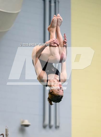 Thumbnail 2 in CHSAA 5A Finals (Diving) photogallery.