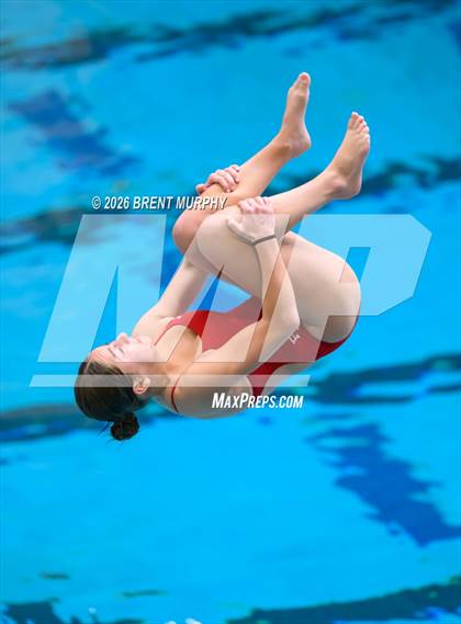 Thumbnail 3 in CHSAA 5A Finals (Diving) photogallery.