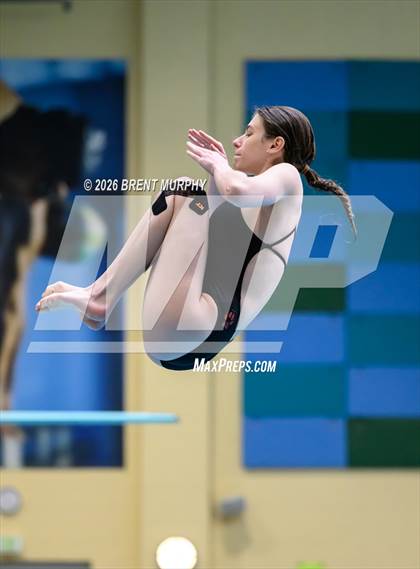 Thumbnail 2 in CHSAA 5A Finals (Diving) photogallery.