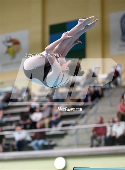 Thumbnail 3 in CHSAA 5A Finals (Diving) photogallery.