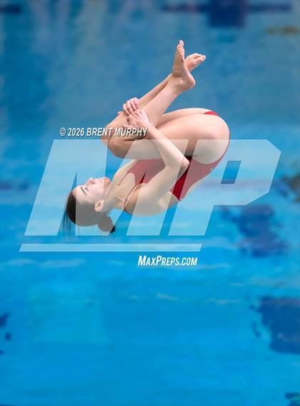 Thumbnail 1 in CHSAA 5A Finals (Diving) photogallery.