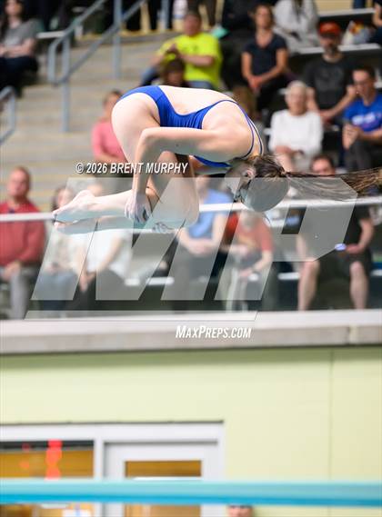 Thumbnail 3 in CHSAA 5A Finals (Diving) photogallery.