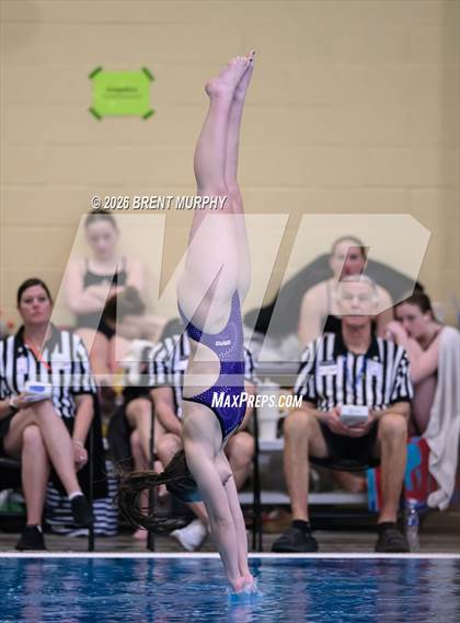 Thumbnail 2 in CHSAA 5A Finals (Diving) photogallery.
