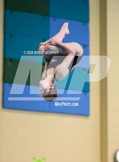 Thumbnail 2 in CHSAA 5A Finals (Diving) photogallery.