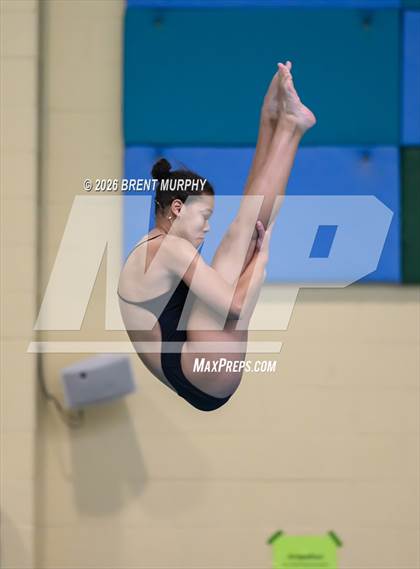 Thumbnail 3 in CHSAA 5A Finals (Diving) photogallery.