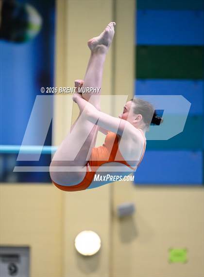Thumbnail 3 in CHSAA 5A Finals (Diving) photogallery.