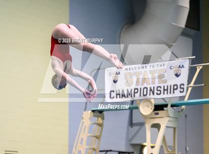 Thumbnail 3 in CHSAA 5A Finals (Diving) photogallery.