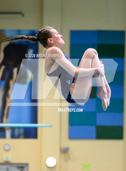 Thumbnail 1 in CHSAA 5A Finals (Diving) photogallery.