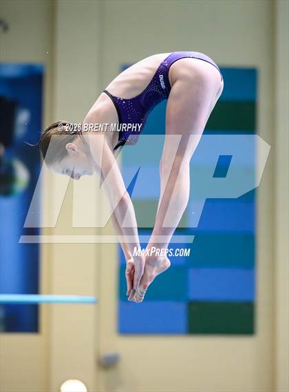 Thumbnail 2 in CHSAA 5A Finals (Diving) photogallery.