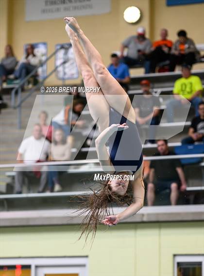 Thumbnail 2 in CHSAA 5A Finals (Diving) photogallery.
