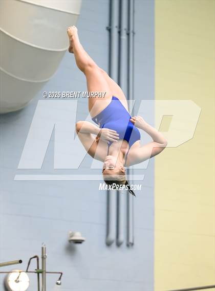Thumbnail 1 in CHSAA 5A Finals (Diving) photogallery.