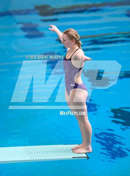 Thumbnail 2 in CHSAA 5A Finals (Diving) photogallery.