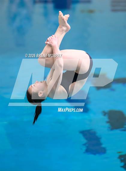 Thumbnail 2 in CHSAA 5A Finals (Diving) photogallery.