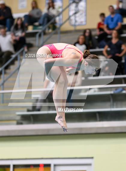 Thumbnail 2 in CHSAA 5A Finals (Diving) photogallery.
