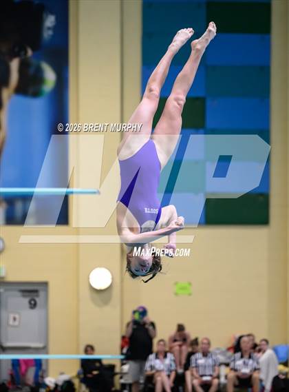 Thumbnail 1 in CHSAA 5A Finals (Diving) photogallery.