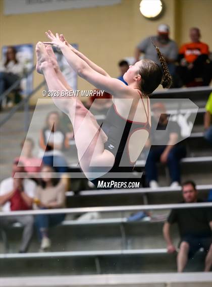 Thumbnail 1 in CHSAA 5A Finals (Diving) photogallery.