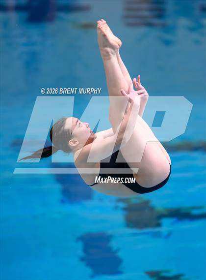 Thumbnail 3 in CHSAA 5A Finals (Diving) photogallery.