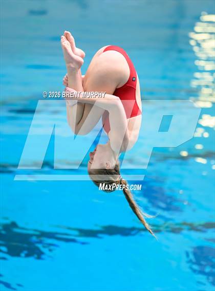 Thumbnail 3 in CHSAA 5A Finals (Diving) photogallery.