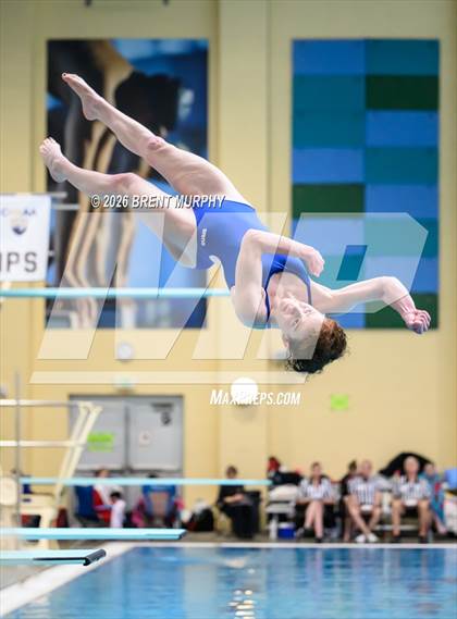 Thumbnail 3 in CHSAA 5A Finals (Diving) photogallery.