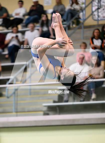 Thumbnail 3 in CHSAA 5A Finals (Diving) photogallery.