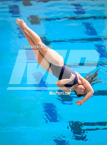 Thumbnail 3 in CHSAA 5A Finals (Diving) photogallery.