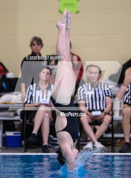 Thumbnail 2 in CHSAA 5A Finals (Diving) photogallery.