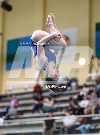 Thumbnail 1 in CHSAA 5A Finals (Diving) photogallery.