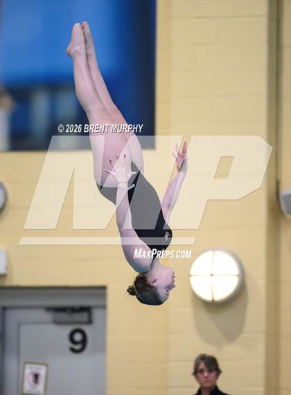 Thumbnail 1 in CHSAA 5A Finals (Diving) photogallery.