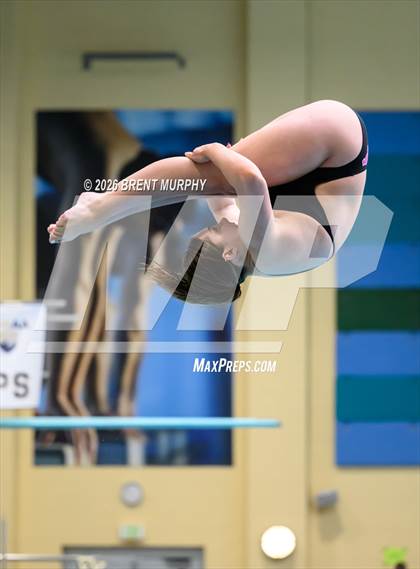 Thumbnail 3 in CHSAA 5A Finals (Diving) photogallery.