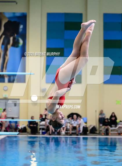 Thumbnail 3 in CHSAA 5A Finals (Diving) photogallery.