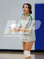 Photo from the gallery "Skyline @ Dobson"