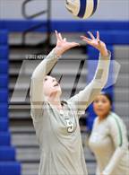 Photo from the gallery "Skyline @ Dobson"