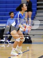 Photo from the gallery "Skyline @ Dobson"