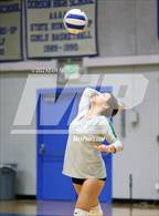 Photo from the gallery "Skyline @ Dobson"