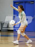 Photo from the gallery "Skyline @ Dobson"