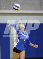 Photo from the gallery "Skyline @ Dobson"