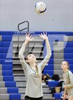 Photo from the gallery "Skyline @ Dobson"